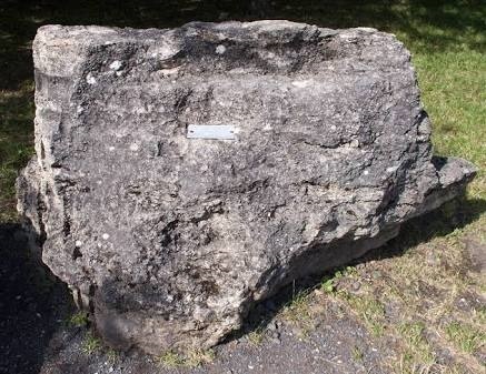 A close up of a rock Description generated with very high confidence