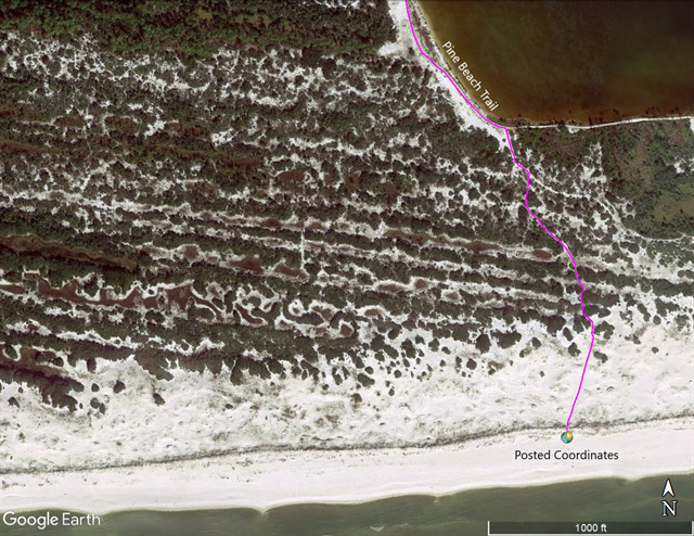 Satellite image of the beach and dunes along the soft sand portion of the Pine Beach Trail. Clearly visible are bands of vegetated and bare sand areas parallel to the Gulf.