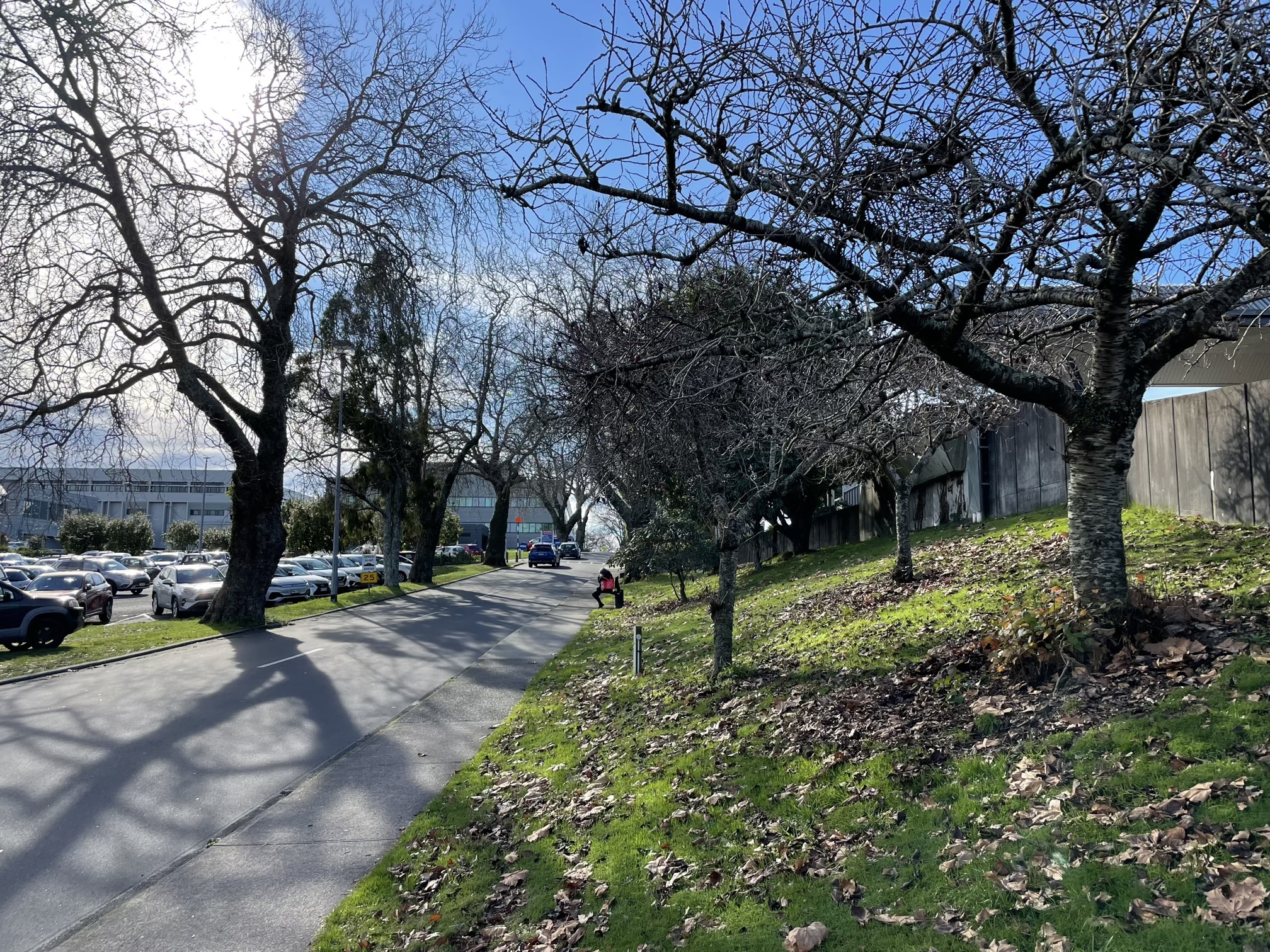 Current view North, up the hill