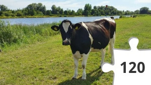 Jigsaw puzzle - 20220801_165402