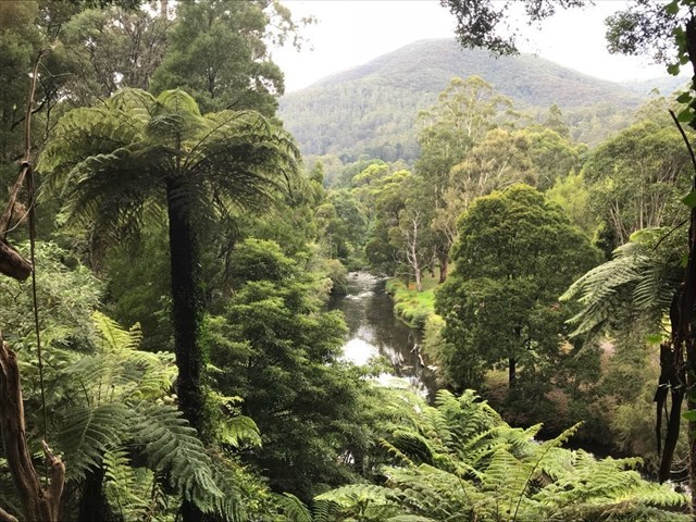 view of the river and background mountain