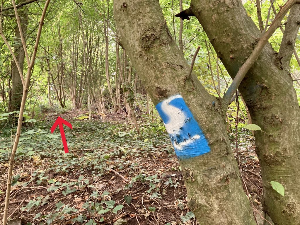 08/11 - T-Wertung steigt