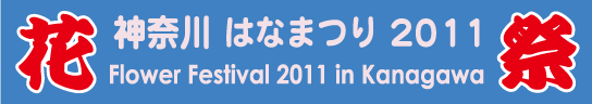 Team Kanagawa spring festival 2011