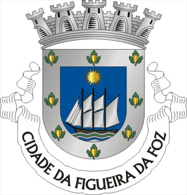 Brasão FIG