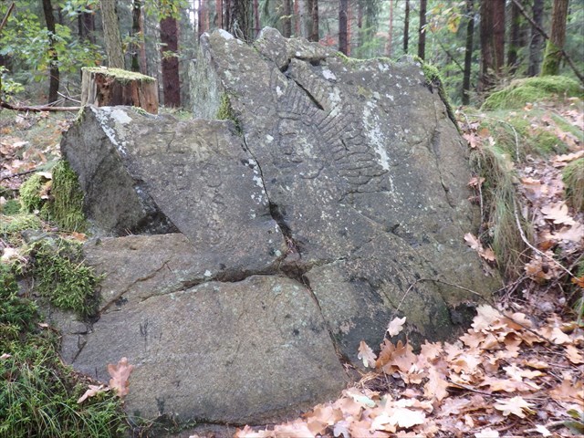 Rytina v kameni u Leletic