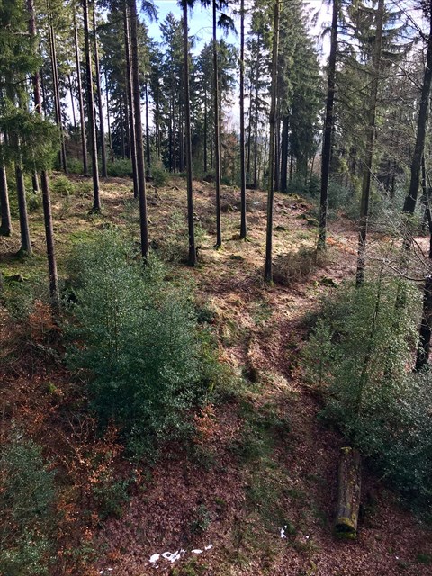 Aussicht von oben...