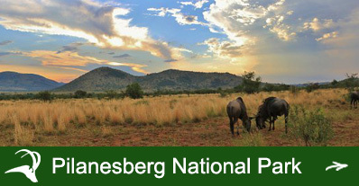 Pilanesberg