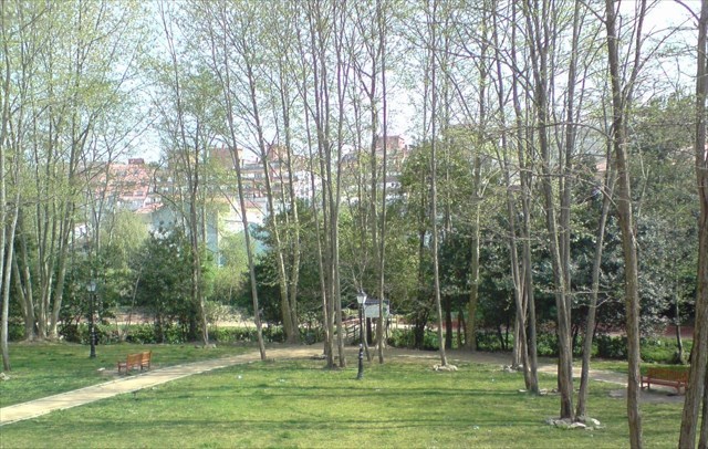 Rincón (Vista General)