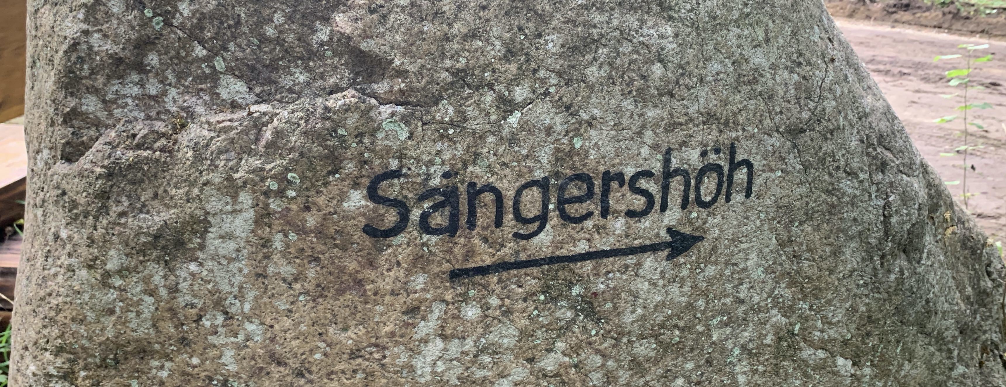 Magmatisch... Metamorph...Oder Sediment?