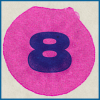 B-8