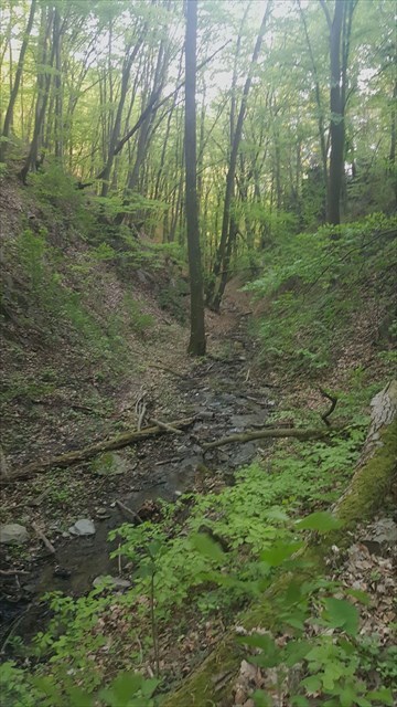 Údolie Lamačského potoka