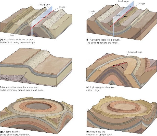 Types of Folds
