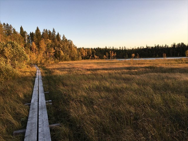 Rannan pitkospuut Rannan pitkospuut