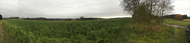 Panorama vom Wambachtal