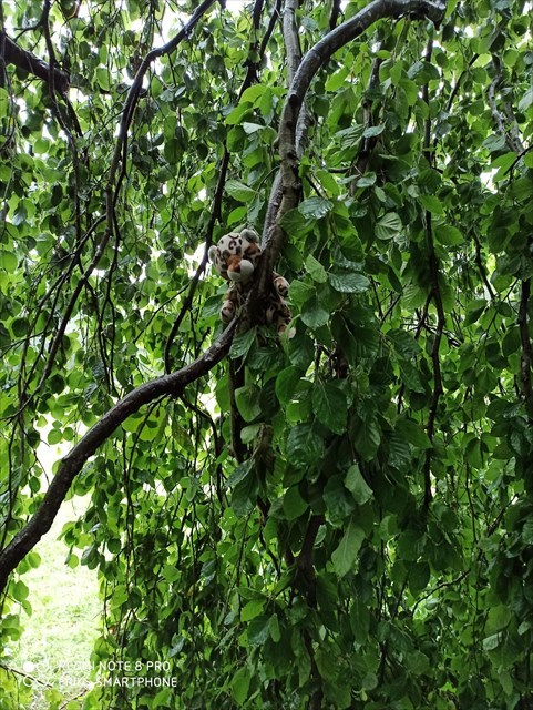 fast ein Wimmelbild