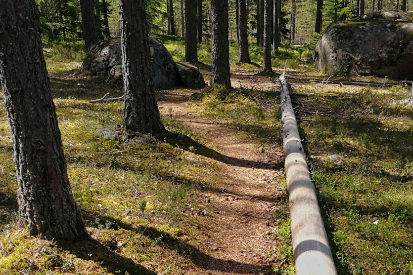 Nummipoluilla 1 Nummipoluilla 1