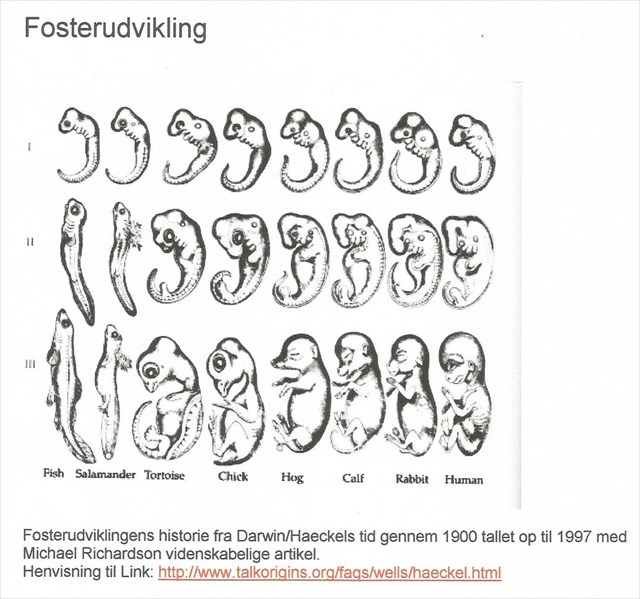 3dba2b48-5d41-4394-8dfd-5bfcb1de2f89_l.jpg (640×599)