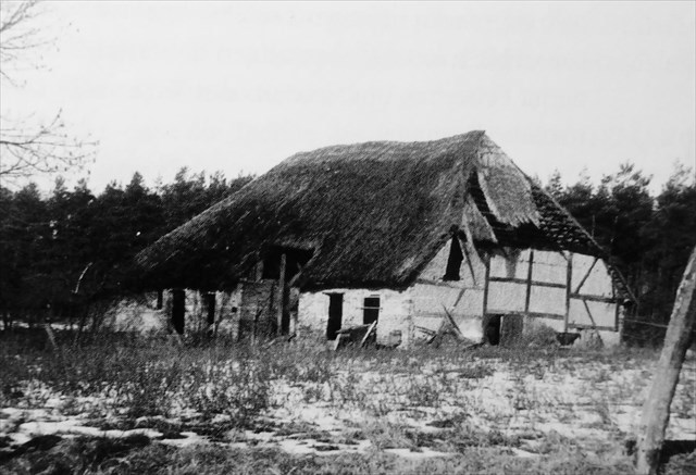 Bauernscheune des Lembkehofes 1957