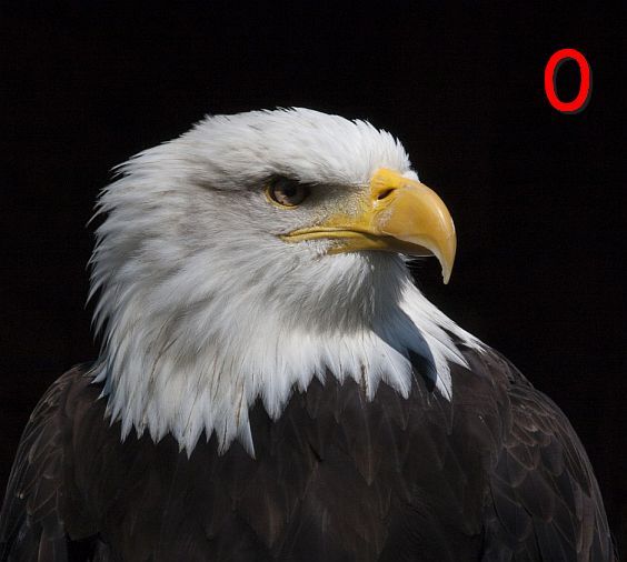 0