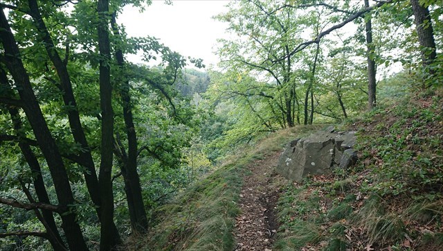 Wanderweg