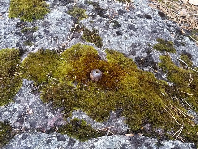 Järndubb i berg med triangel
