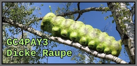 Dicke Raupe