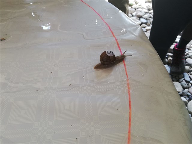 Zmagovalec in slovenski rekorder Polžek TOM!!!