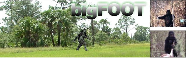BigFoot