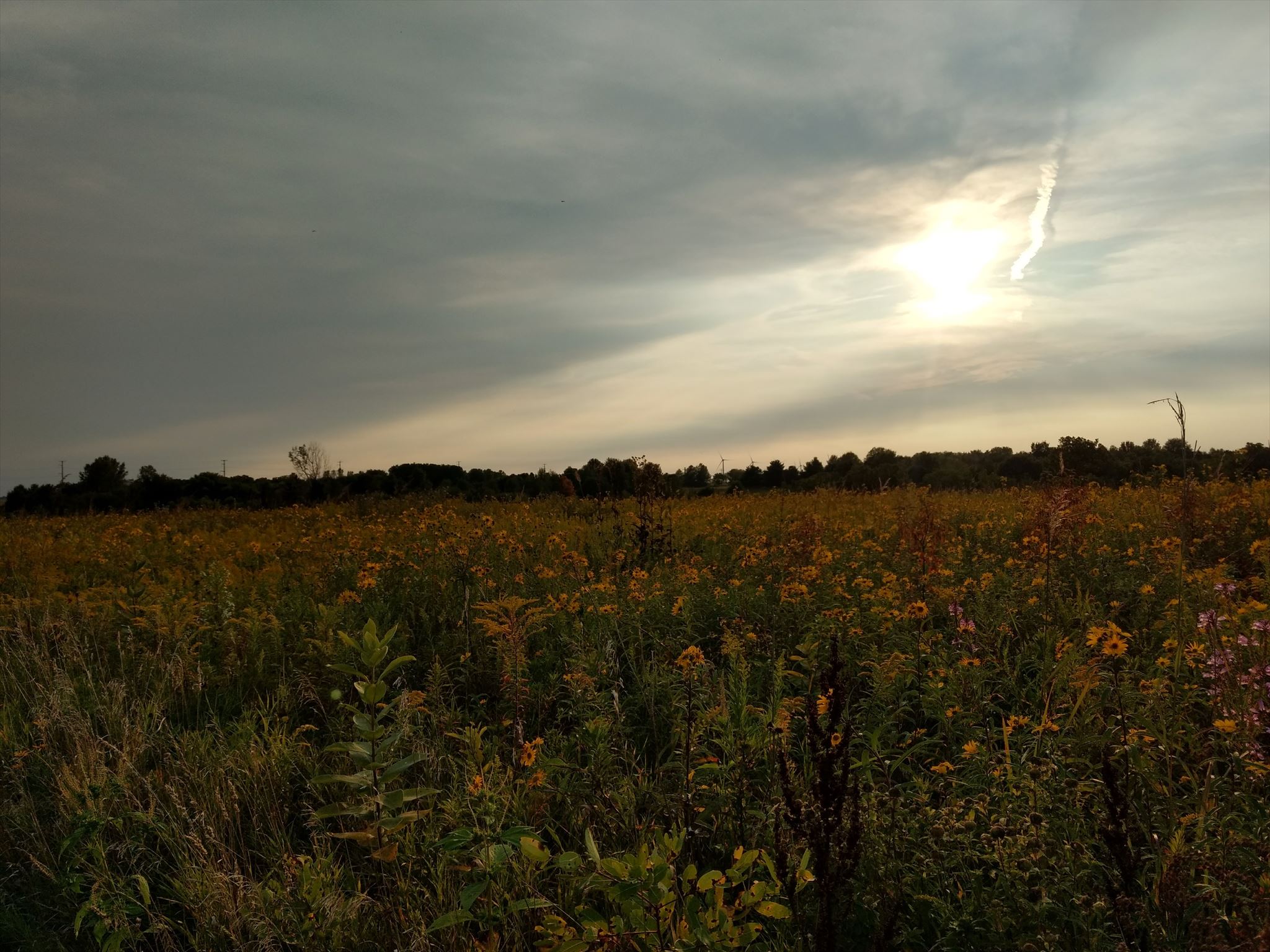 Sorensen Prairie