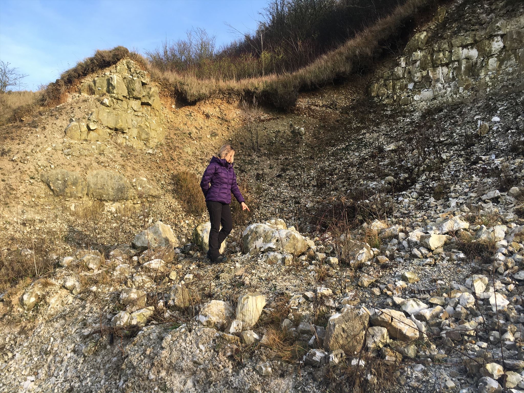 GC8204N Les fossiles de la carrière (Earthcache) in Hauts-de-France, France  created by necrolink, image size:2048x1536