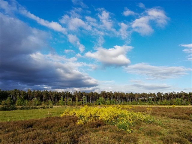 Zicht vanuit het Langven Zicht vanuit het Langven