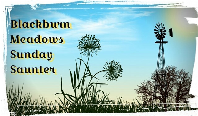 Clan Wallace completed the Blackburn Meadows Sunday Saunter Series