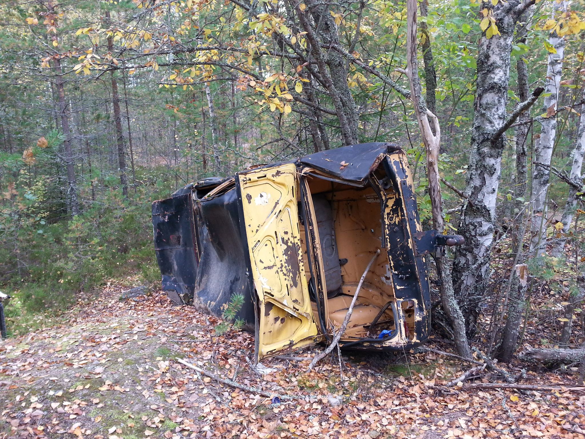 Wilhelmin kuva lisätty arkistoinnin yhteydessä