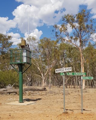 Contact me if no Image