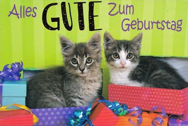 Katzen_gratulieren
