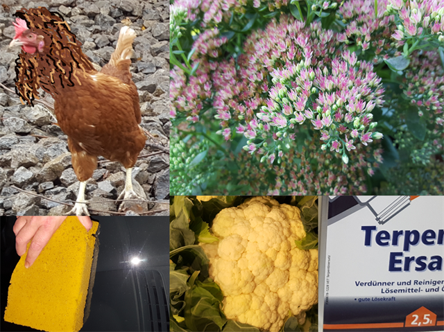 Seltsame Verwandtschaft