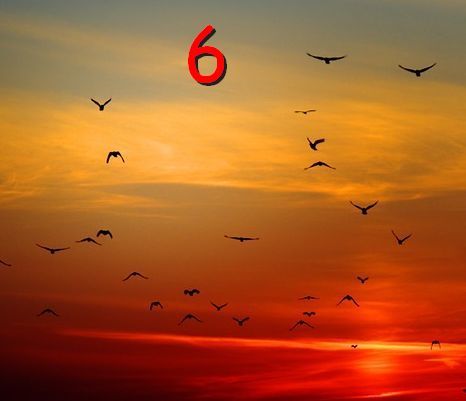 6