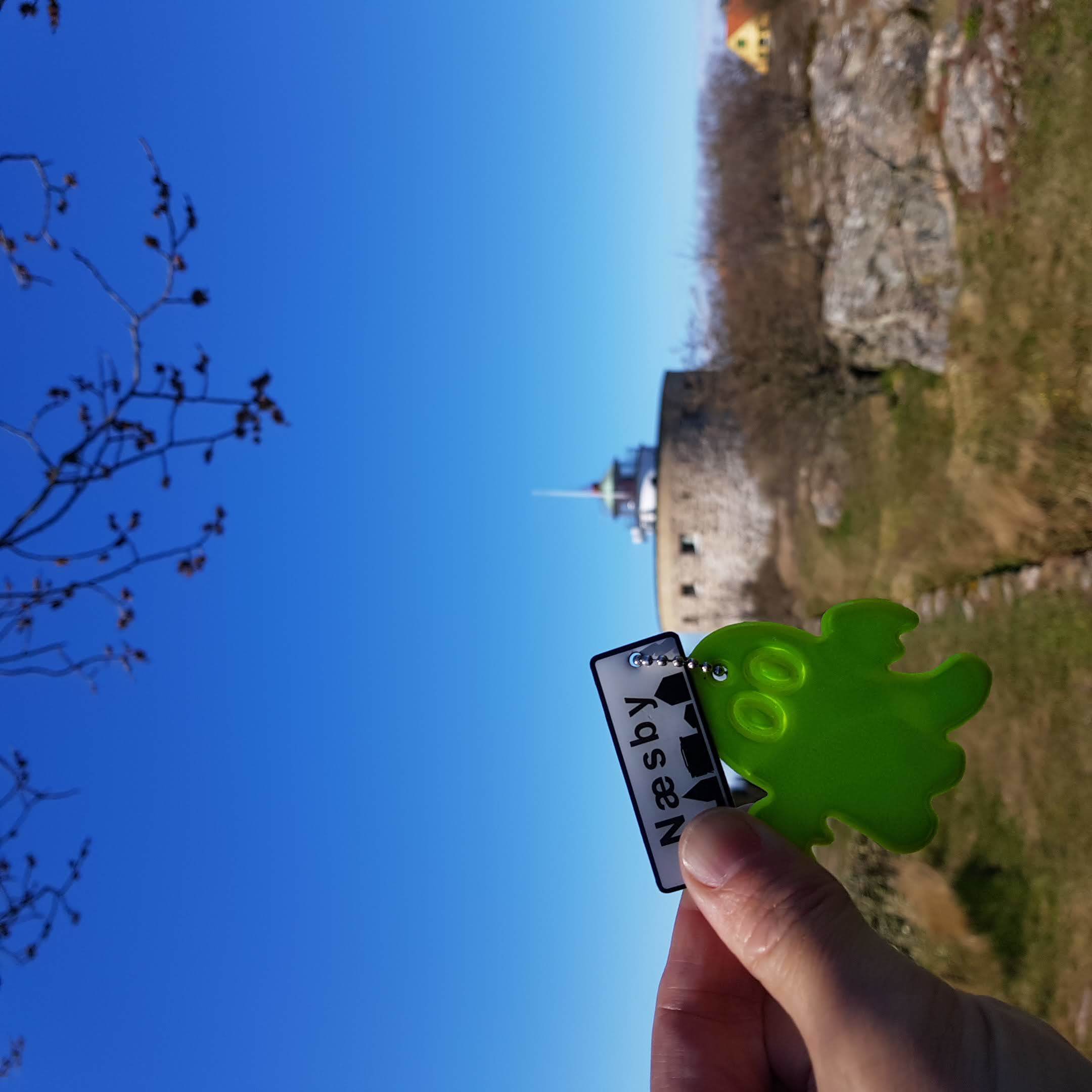 Logningskrav/Log Requirement