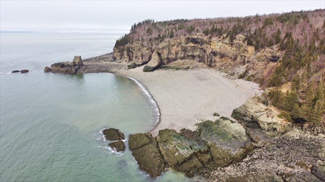 drone picture of the cove