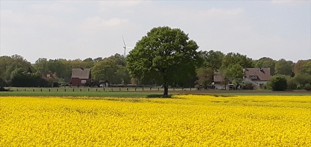 Mitten in der Feldmark I