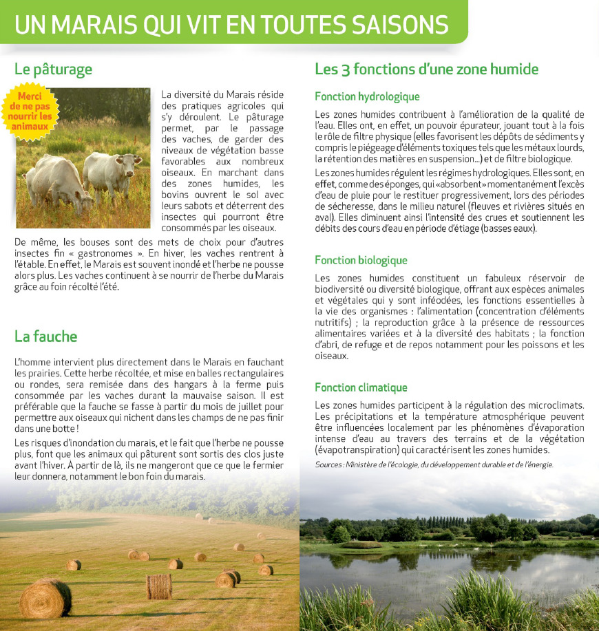 Un marais qui vit en toutes saisons - Source : https://www.indeauville.fr - Crédit photo : Grégory Wait, P.Le Bris, P.Mignon