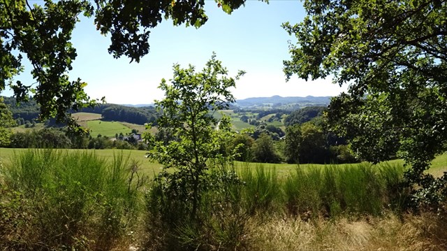 Pan-O-Rama-Pick-Nick