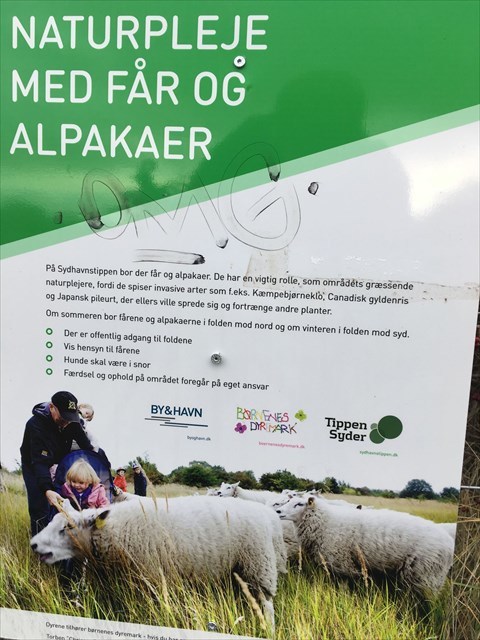 4756aaaa-a7f4-46bf-a879-8952a38f7761_l.jpeg (480Ã—640)