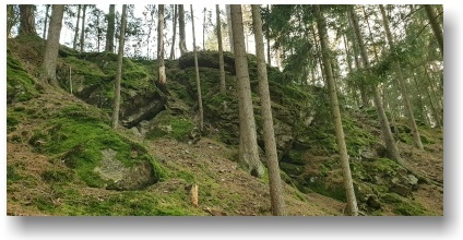 Kruh