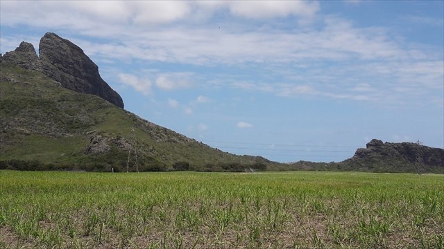 King-Kong regarde la femme couchée