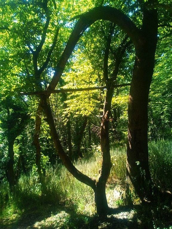 vom Pausenplatz weiter