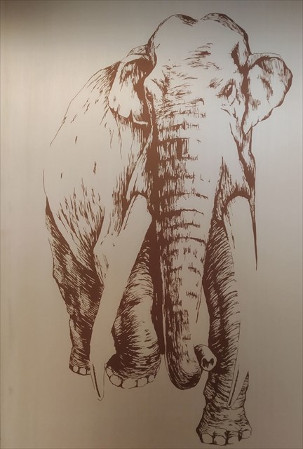 Rycina przedstawiająca słonia