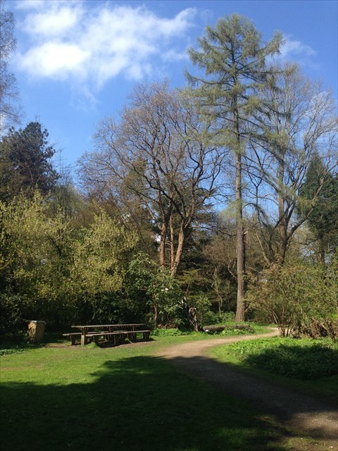 49f96683-e271-4ae5-bcc6-958cc3bdaef2_l.jpeg (480×640)