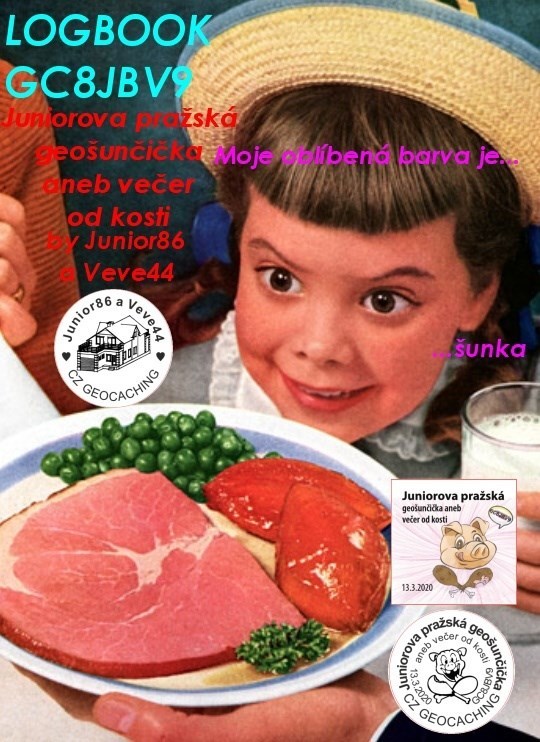 Logbook titulní strana