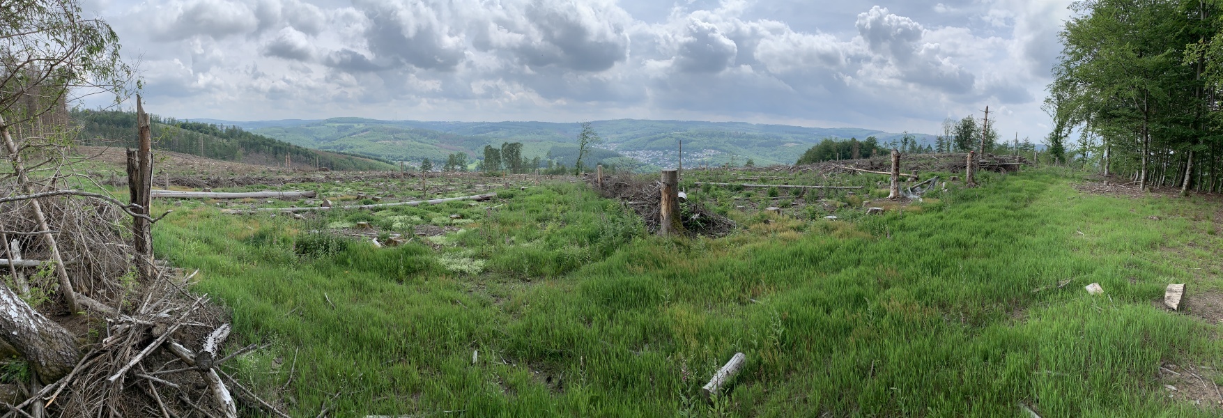 Panoramabild mit Blick auf den Westerwald